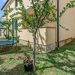 Pet Friendly In * Pula