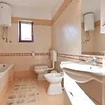 Pet Friendly In *